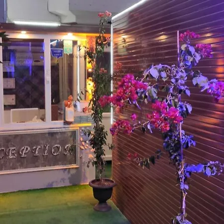 アパートホテル Zeytindali ディディム