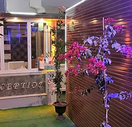 Zeytindali 迪迪姆