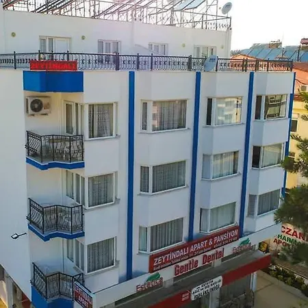 公寓式酒店 Zeytindali 迪迪姆